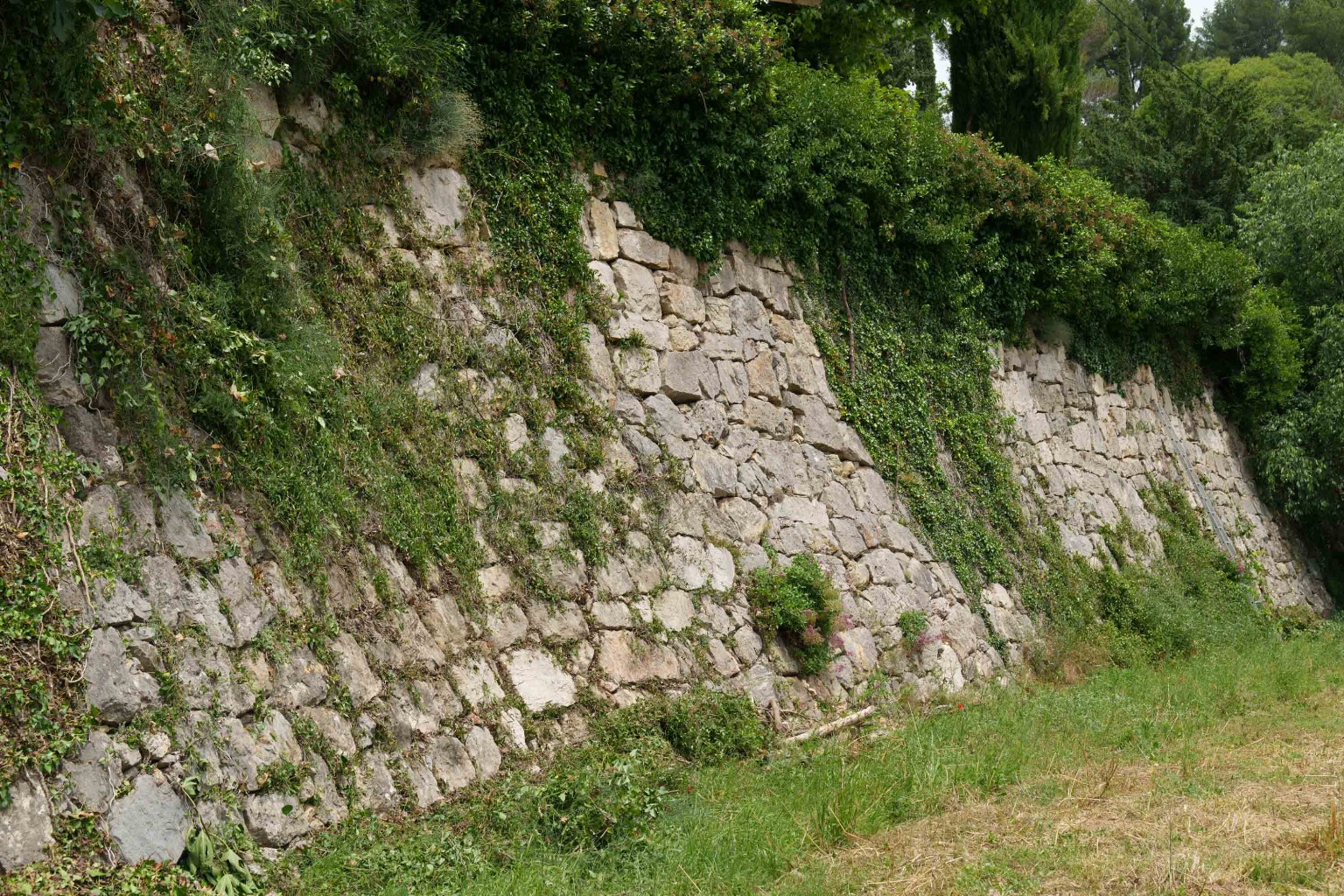Mur ancien en pierre enveloppé par la végétation du domaine